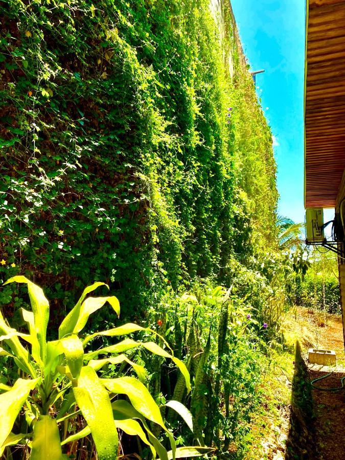 Hoja Azul Villa Hojancha Ngoại thất bức ảnh