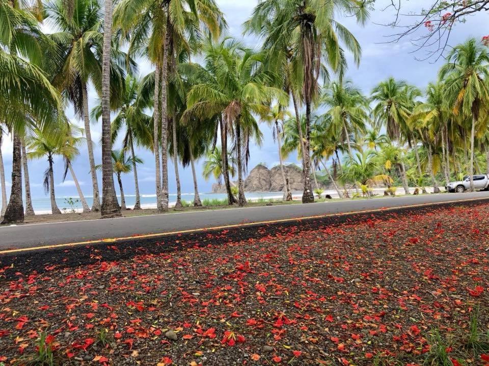Hoja Azul Villa Hojancha Ngoại thất bức ảnh