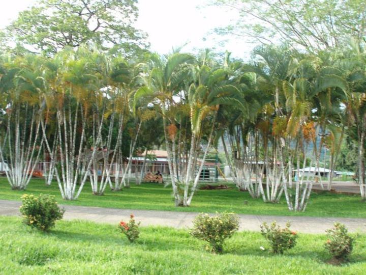 Hoja Azul Villa Hojancha Ngoại thất bức ảnh
